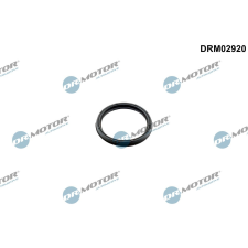 Dr.Motor Tömítőgyűrű, töltőlevegőcső DR. MOTOR DRM02920 autóalkatrész