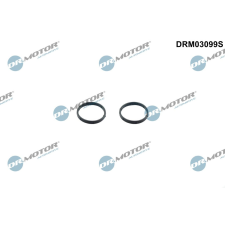 Dr.Motor Tömítőkészlet, olajszivattyú DR. MOTOR DRM03099S autóalkatrész