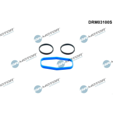 Dr.Motor Tömítőkészlet, olajszivattyú DR. MOTOR DRM03100S autóalkatrész