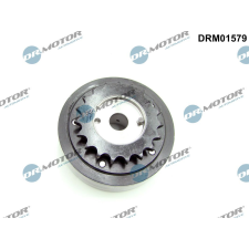 Dr.Motor vezérműtengely-állító DR. MOTOR DRM01579 autóalkatrész