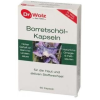  DR WOLZ BORRETSCHOL BORAGOOLAJ KAPSZ 60X