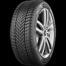 Dunlop winter 225/55 R17 101V XL M+S 3PMSF EVR téli gumiabroncs