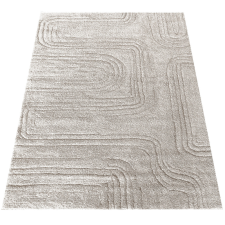 Dywanopol Dywan Serenity 01 Beige 200 x 290 cm lakástextília