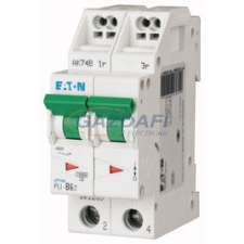 EATON 101303 PLI-D6/2 Kismegszakító, 10kA (dugaszolókapcsokkal) villanyszerelés