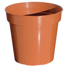 Ebertsankey hajtatócserép átmérője 10 cm terrakotta kerti dekoráció