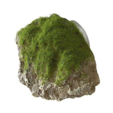 EBI AQUA DELLA mohakő-XS- 9x6x6,5cm tapadókorongal akvárium dekoráció