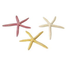  EBI AQUA DELLA tengeri csillag L 18,5cm akvárium dekoráció