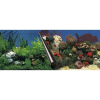  EBI Photo Decor Stone + Coral 120 x 50cm