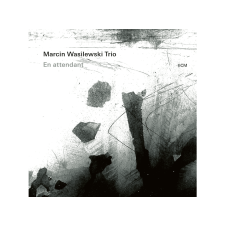 ECM Marcin Wasilewski Trio - En Attendant (Vinyl LP (nagylemez)) jazz