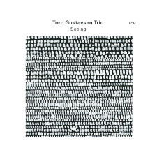 ECM Tord Gustavsen Trio - Seeing (Vinyl LP (nagylemez)) jazz