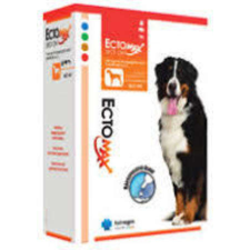 Ectomax spot on kutyáknak 1 ml élősködő elleni készítmény kutyáknak
