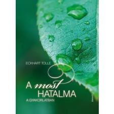 ÉDESVÍZ A most hatalma a gyakorlatban egyéb e-könyv