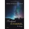 ÉDESVÍZ Beszélgetések Istennel - 4. könyv