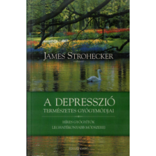 Édesvíz Kiadó A depresszió természetes gyógymódjai antikvárium - használt könyv