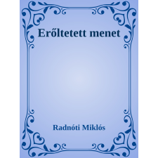 Efficenter Kft. Erőltetett menet szépirodalom