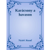 Efficenter Kft. Karácsony a havason