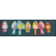 Efia GmbH Rainbow Birds 030x100 cm szennyfogó szőnyeg lakástextília