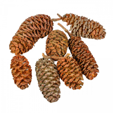  Éger indiai natúr 17dkg/csom dekorációs kellék