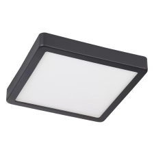 EGLO 31202 LED fürdőszobai mennyezeti lámpa 17W 2100lm 4000K IP44 E Fueva5 világítás
