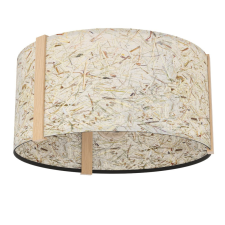 EGLO Hontongas Eglo-390322 mennyezeti lámpa világítás