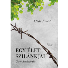 Egy élet szilánkjai - Utam Auschwitzba regény