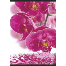 egyéb Virág - Flowers A4 kockás füzet, Orchidea füzet