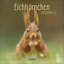  Eichhörnchen 2027 – Korsch Verlag (Naptár) naptár, kalendárium