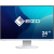 Eizo 24,1