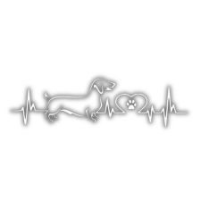  EKG-s tacskó autómatrica matrica