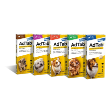 Elanco AdTab 56mg rágótabletta mini testű kutyáknak 1,3-2,5kg élősködő elleni készítmény kutyáknak