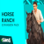 Electronic Arts Sims 4: Horse Ranch (DLC) (Digitális kulcs - PC)