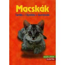 Elektra Kiadóház Macskák - Tartás, táplálás, gondozás antikvárium - használt könyv