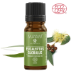 Elemental Srl Eukaliptusz 100% bio illóolaj - 10ml