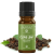 Elemental Srl Szegfűszeg levél illóolaj 100% illóolaj - 10ml