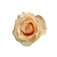  Élethű selyem nyílott rózsafej barack 8 cm dekoráció