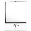 Elitescreen T113UWS1 MaxWhite projektor vászon