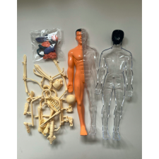  Emberi test - oktató játék és anatómia modell - teljes alakos, hátul átlátszó puzzle, kirakós