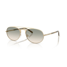 Emporio Armani EA2171 30022C MATTE PALE GOLD BROWN GRADIENT GREEN napszemüveg napszemüveg