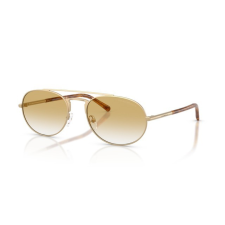 Emporio Armani EA2171 30022Q MATTE PALE GOLD CLEAR GRADIENT YELLOW napszemüveg napszemüveg