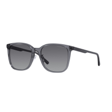 Emporio Armani EA4206D 5029T3 Shiny Transparent Grey Polar Grey Gradient napszemüveg napszemüveg