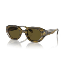 Emporio Armani EA4230U 614873 SHINY STRIPED GREEN DARK BROWN napszemüveg napszemüveg