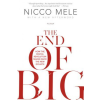  End of Big – Nicco Mele (Brožovaná)