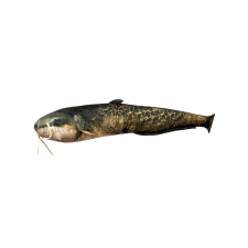 Energofish HALAS PÁRNA HARCSA 115cm ajándéktárgy