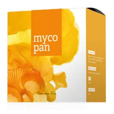  Energy Mycopan kapszula (90 db) vitamin és táplálékkiegészítő