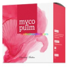 ENERGY Mycopulm 90 db kapszula, Júdásfülgomba, nyírfatapló, tarackbúza, téli fülőke, harangfolyondár kivonatok - Energy
