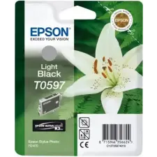 Epson T0597 Light Black tintapatron C13T05974010 nyomtatópatron & toner