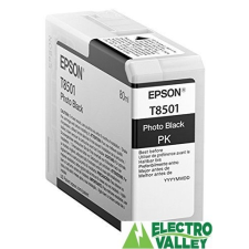 Epson T850100 EREDETI nyomtatópatron & toner