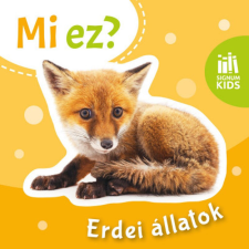 Erdei állatok - Mi ez? gyermek- és ifjúsági könyv
