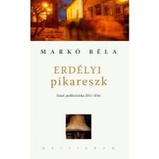 Erdélyi pikareszk történelem