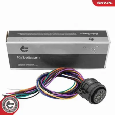 ESEN SKV Kapcsolószelep, automata sebességváltó 53SKV028 autóalkatrész